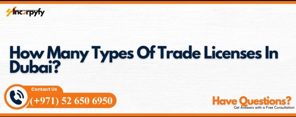 How Many Types Of Trade Licenses In Dubai?
