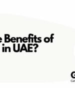 What Are the Benefits of Investor Visa in UAE?