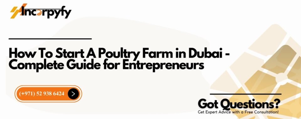 How To Start A Poultry Farm in Dubai