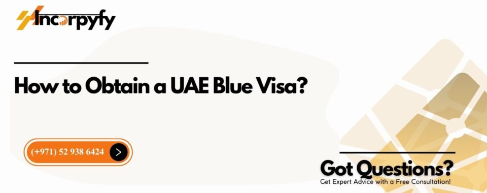 How to Obtain a UAE Blue Visa?