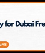 How to Apply for Dubai Free Zone Visas